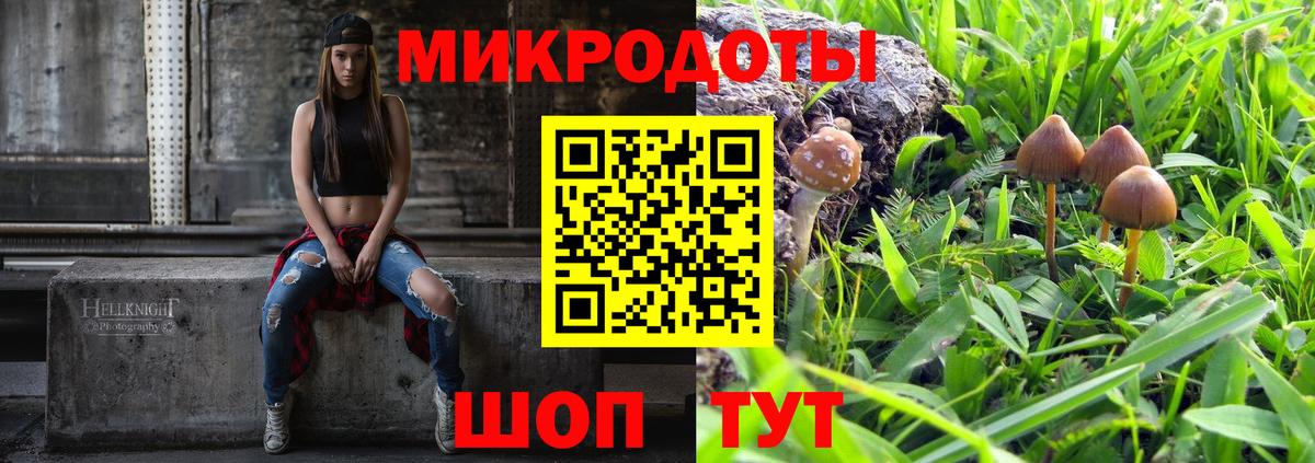Галлюциногенные грибы мицелий Нижний Новгород