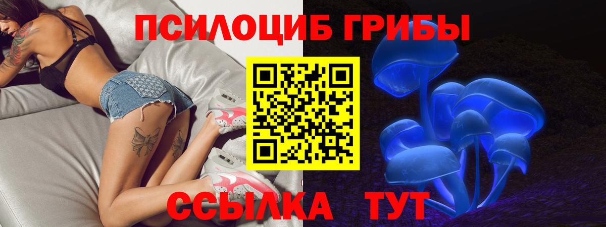 Нижний Новгород  наркота  Вход с VPN  Галлюциногенные грибы GOLDEN TEACHER 